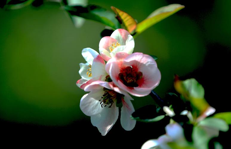 安徽省芜湖市天气预报15天_安徽省芜湖市天气预报15天查询结果8号