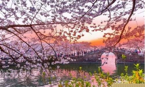 4月旅游的最佳地点_贵州4月旅游的最佳地点
